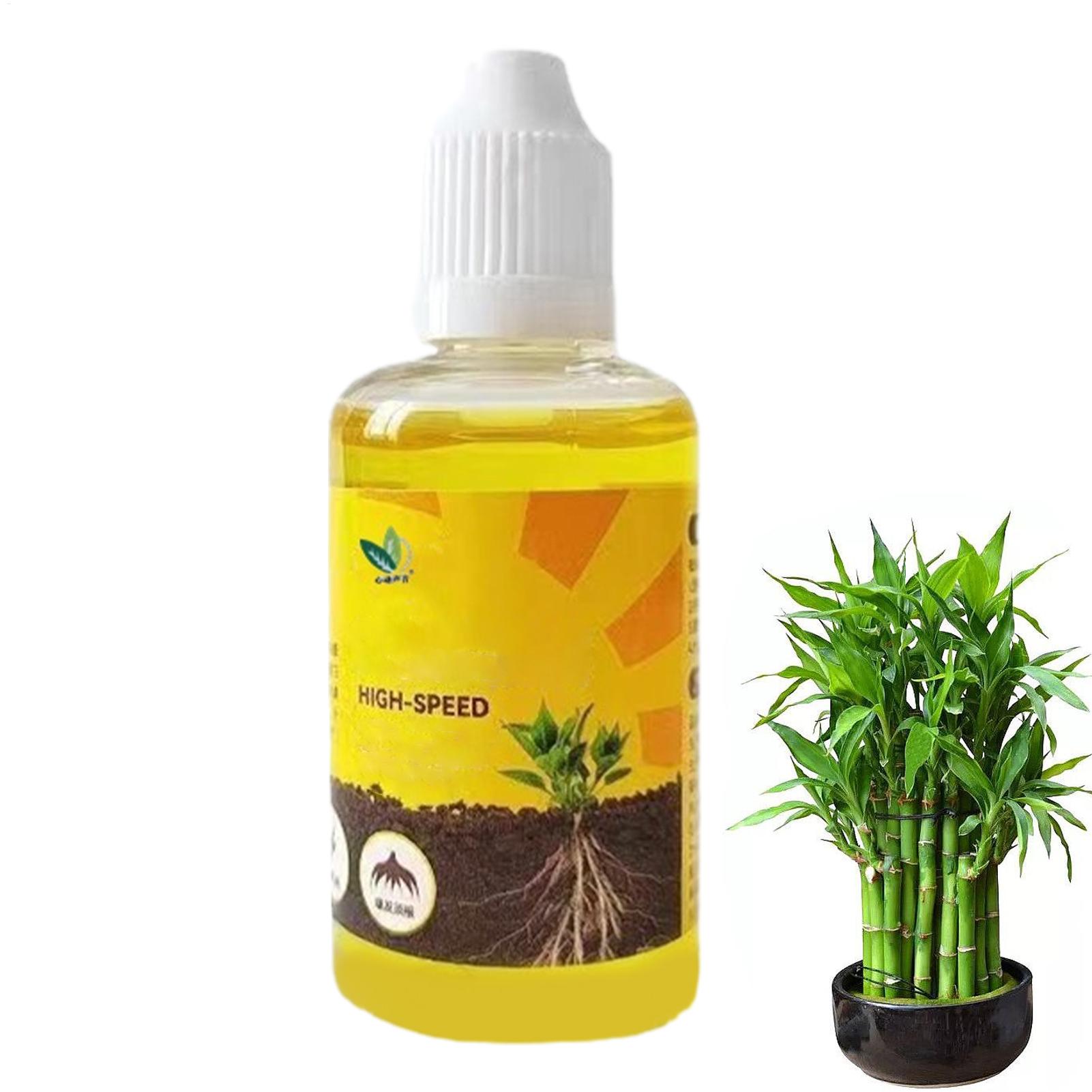 Rooting Hormone Powder - 50ml estimulador de enraizamento de planta
