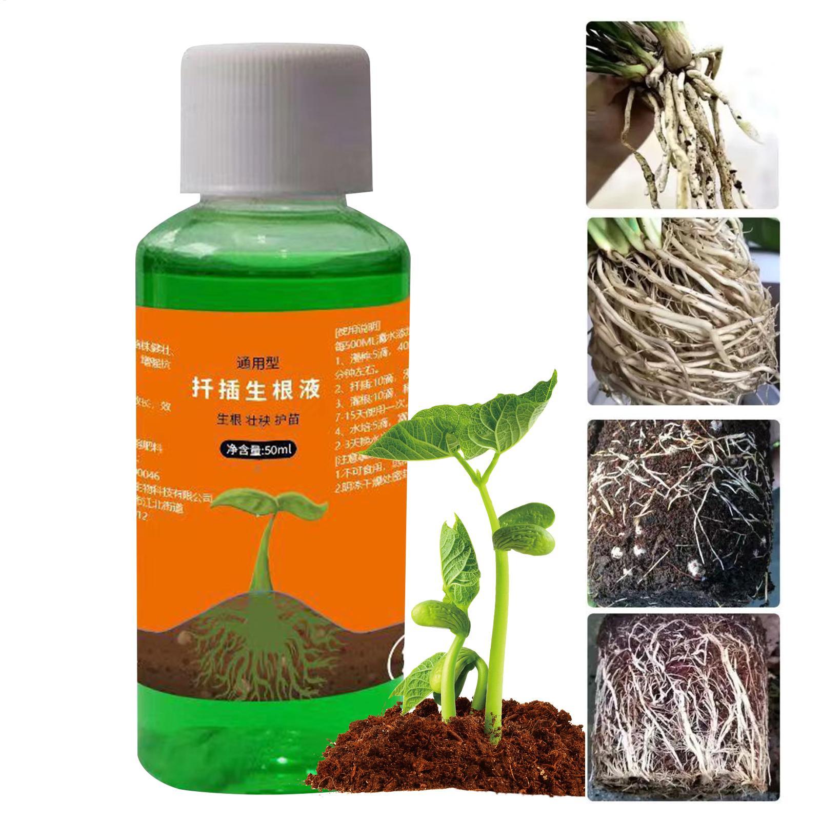 Root Stimulator Liquid - Estimulador de Raízes de Alta Eficiência