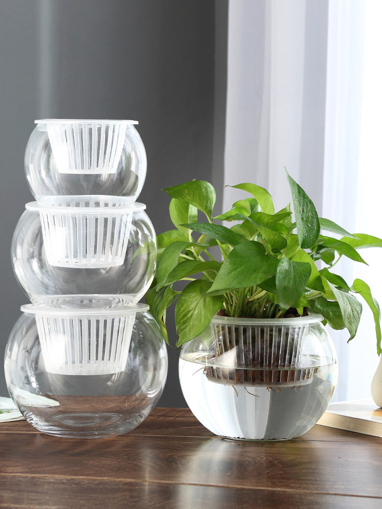 Propagation Station Vase - Vaso de Vidro Hidropônico para Propagação