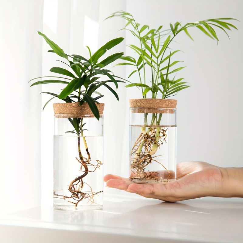 Hidroponia Plantas Vaso para D - Propagation Station Vase avaliação e preço