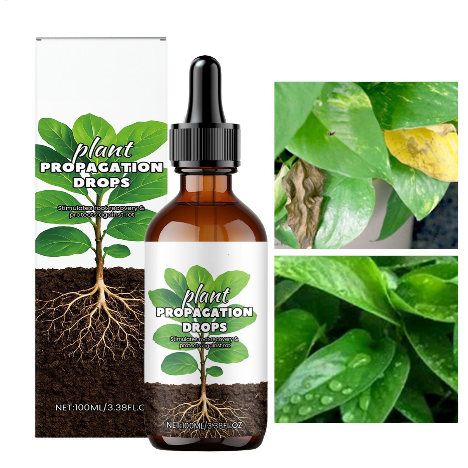 Reforço de raiz 100ml, gotas l - Root Stimulator Liquid avaliação e preço