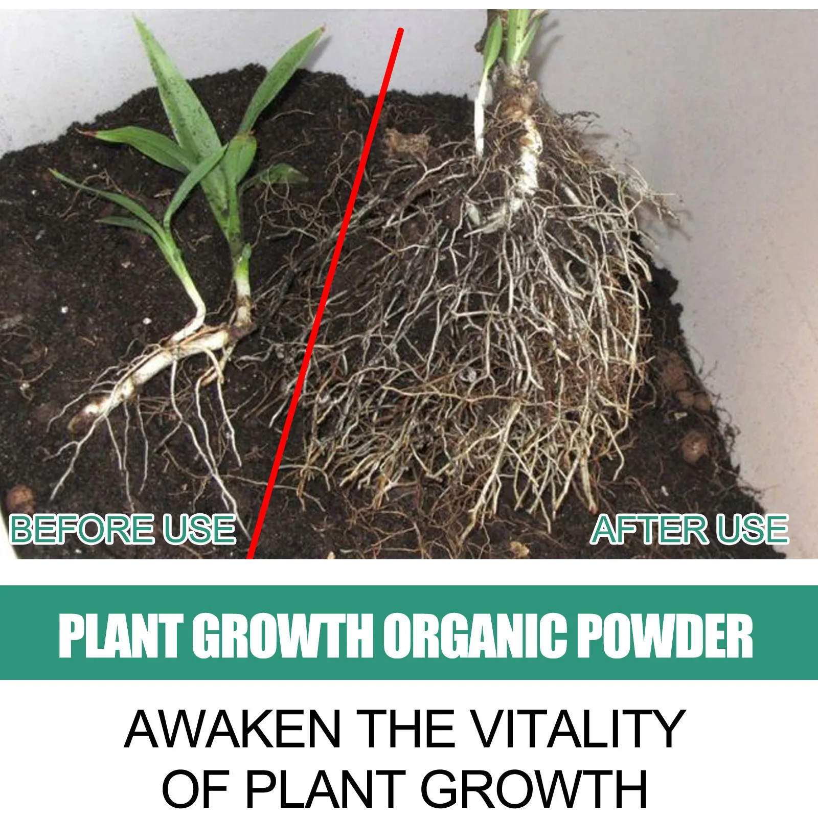 Pó de enraizamento rápido para - Rooting Hormone Powder avaliação e preço