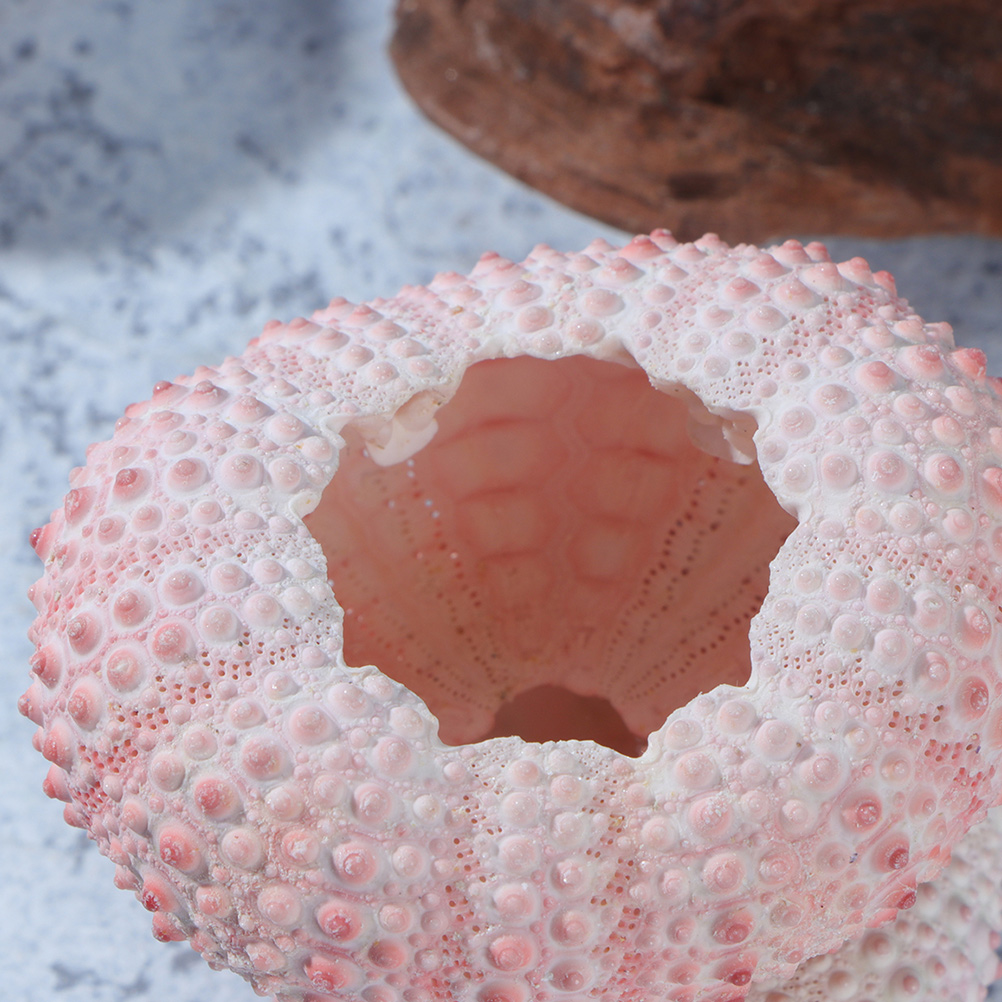 10 pçs diy jóias fazendo conch - Propagation Station Vase avaliação e preço
