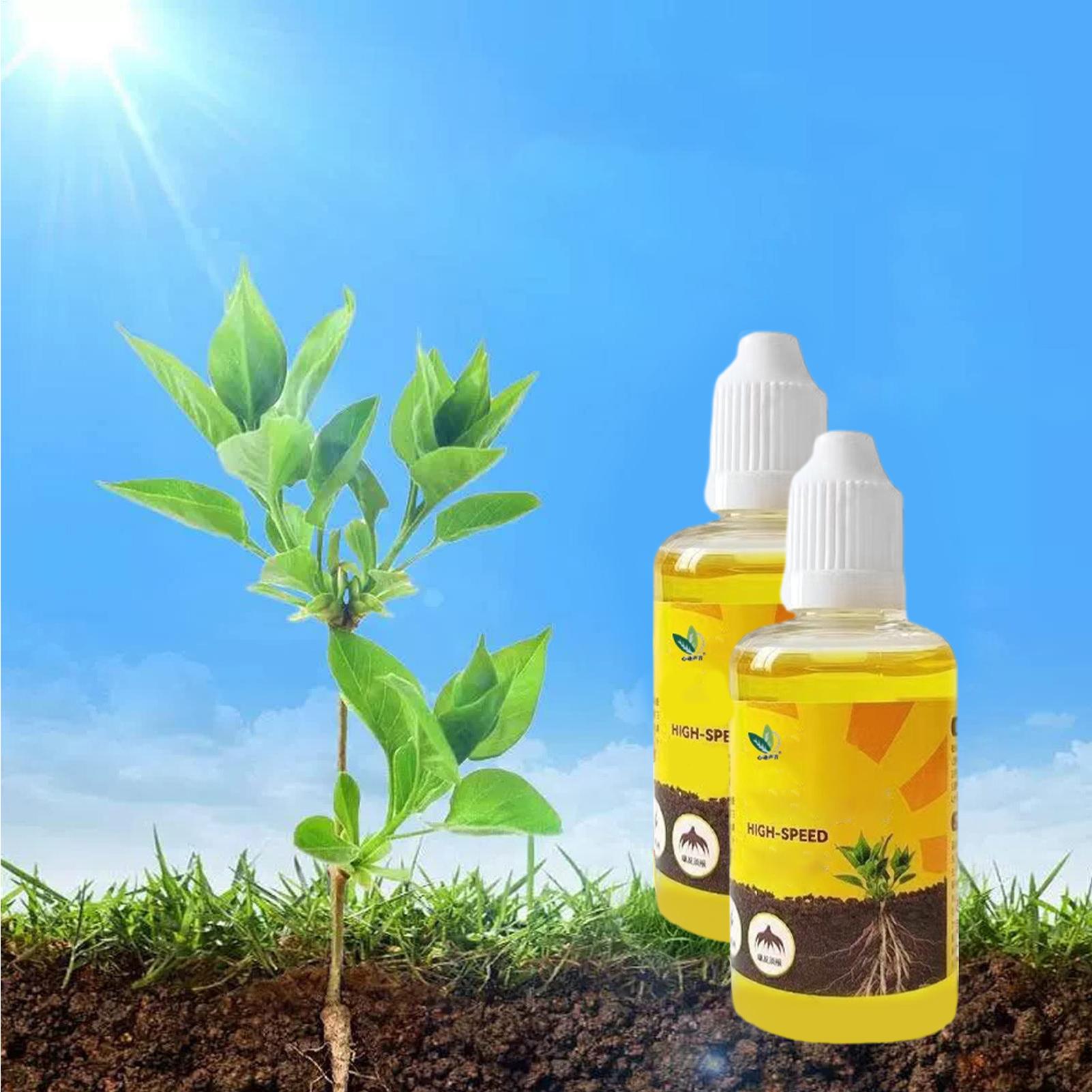 50ml estimulador de enraizamen - Rooting Hormone Powder avaliação e preço