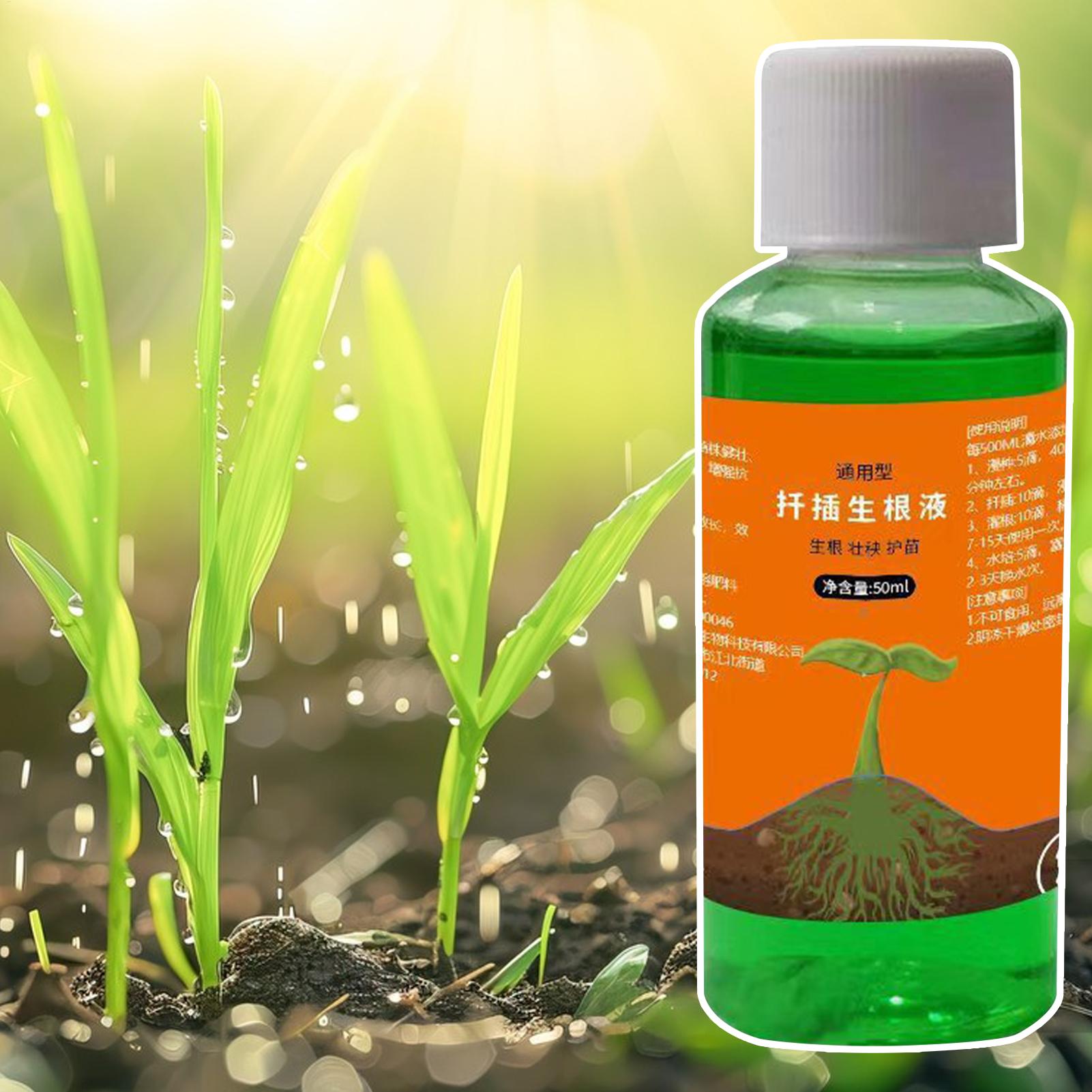 Estimulador de Raízes de Alta  - Root Stimulator Liquid avaliação e preço
