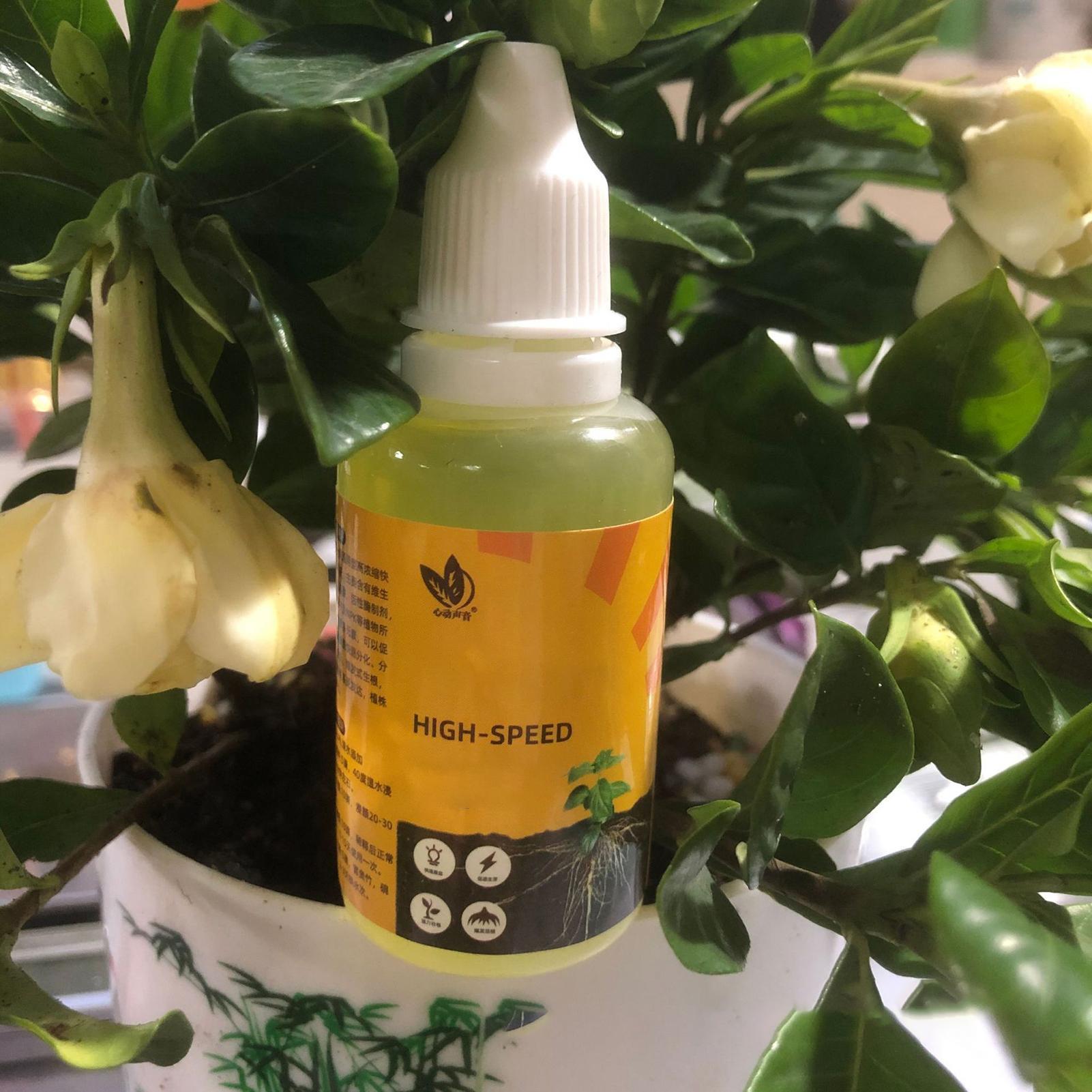 Solução de Enraizamento Rápido - Root Stimulator Liquid avaliação e preço