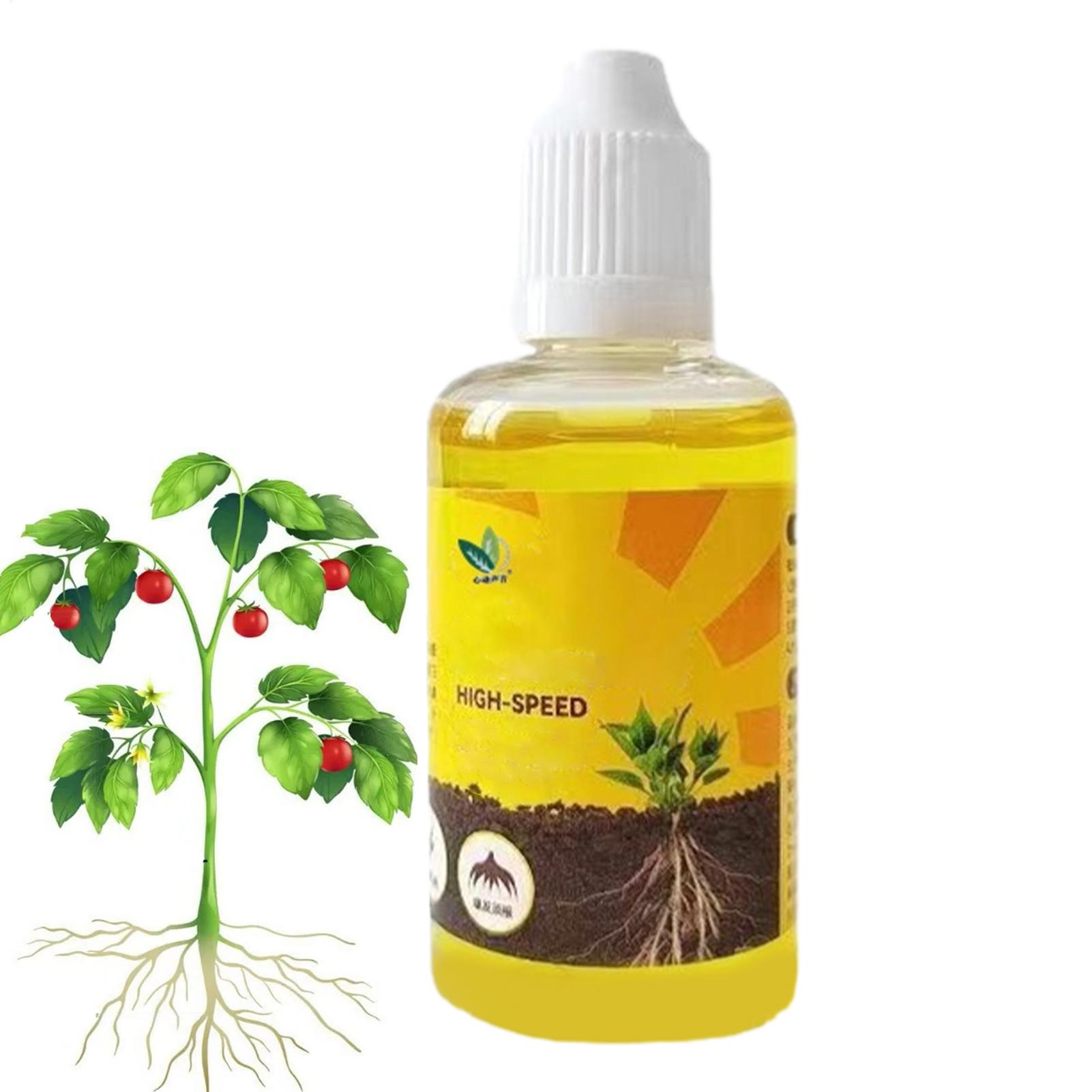 Instalação rápida de planta de - Root Stimulator Liquid avaliação e preço