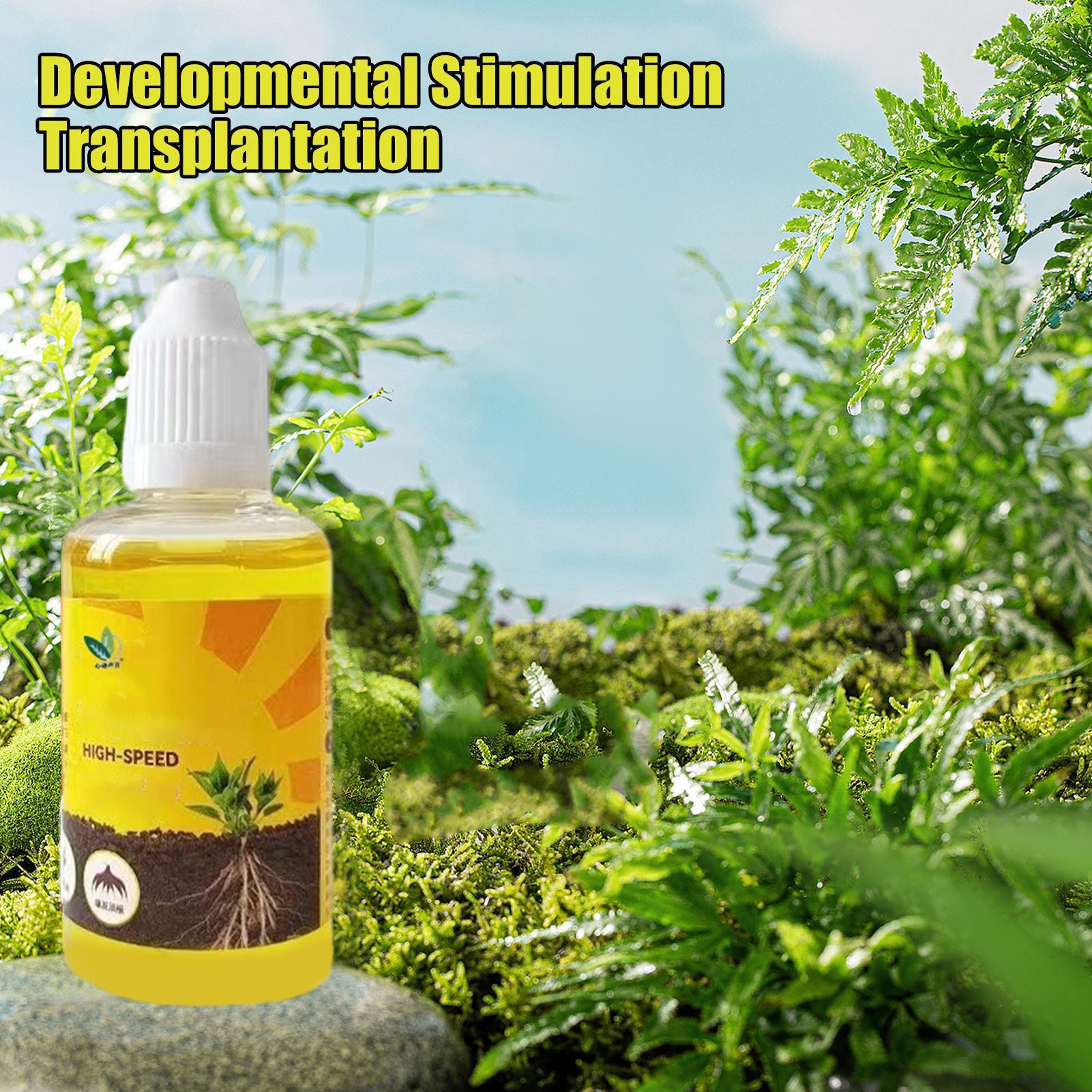 Instalação rápida de planta de - Root Stimulator Liquid avaliação e preço