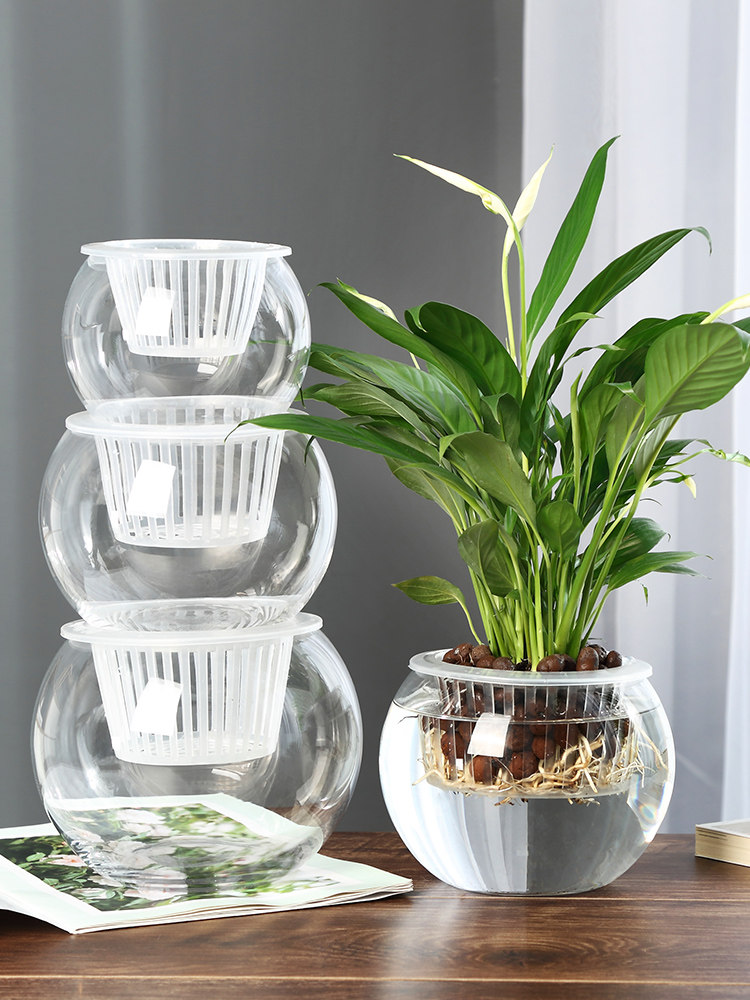 Vaso de Vidro Hidropônico para - Propagation Station Vase avaliação e preço